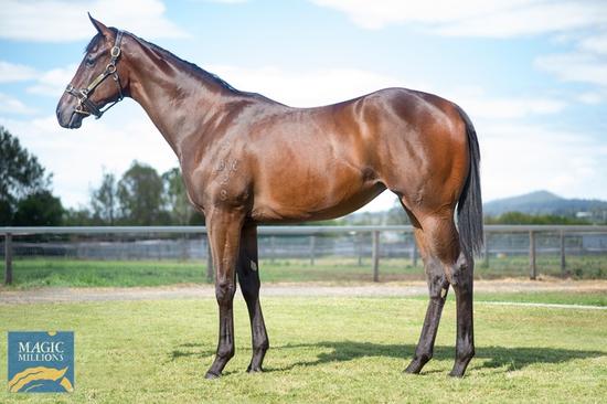 Pierro X Courtyard Circle