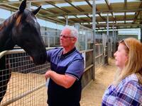 Esker Lodge - Strong Melbourne Premier Yearling Draft