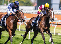Steinem's Group 3 Success