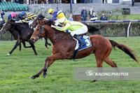 Sirius Suspect's Santa Ana Lane win