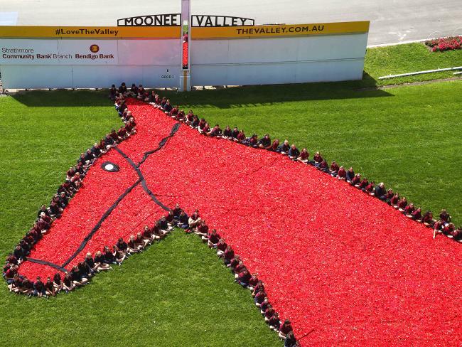 Rememberance Day.jpg
