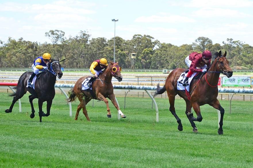 Portman Bendigo 241116.jpg