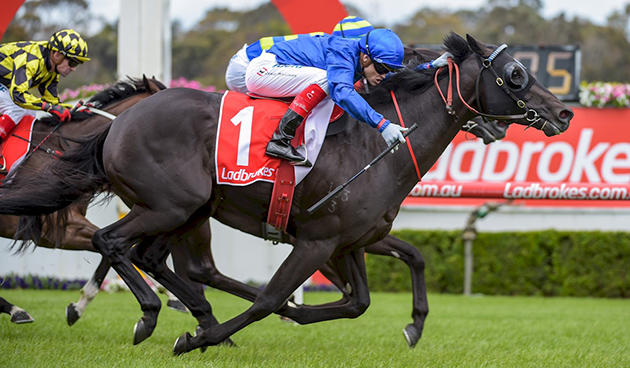 mortonsforksandownguineas_630x368rp.jpg