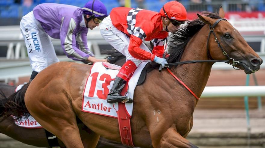 Boom Time Flemington.JPG