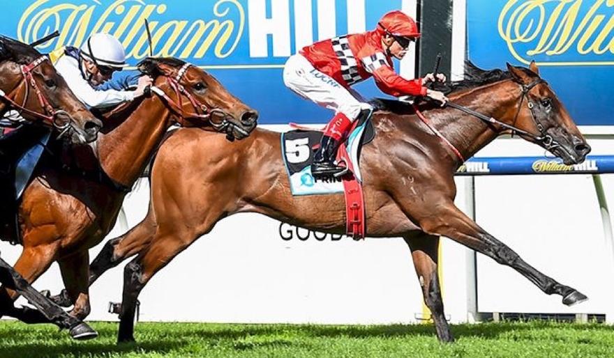 Boom Time Moonee Valley 261116.JPG