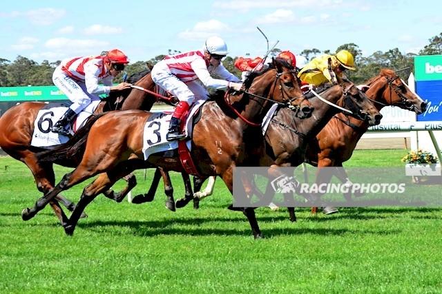 Gagosian Bendigo 241116.jpg