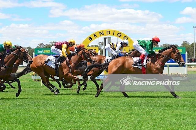 Dancing Hare Bendigo 241116.jpg