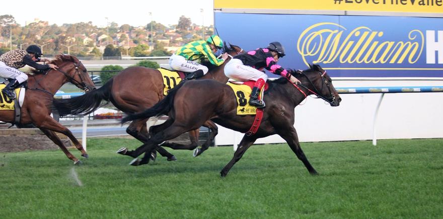 Ponte Roma MV 021216.JPG