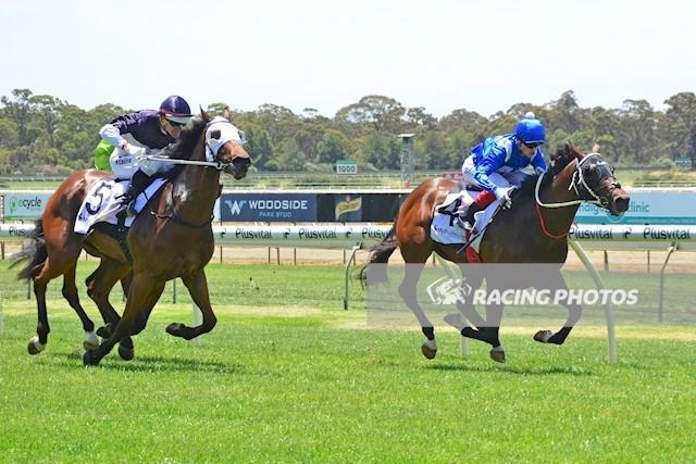 Presscott Bendigo 301116.jpg