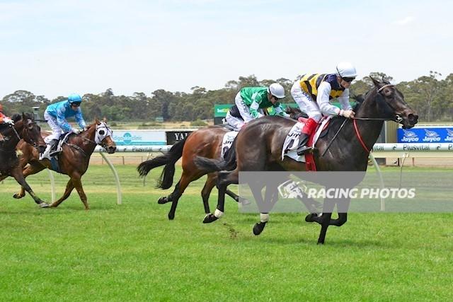 Stone Warrior Bendigo 301116.jpg