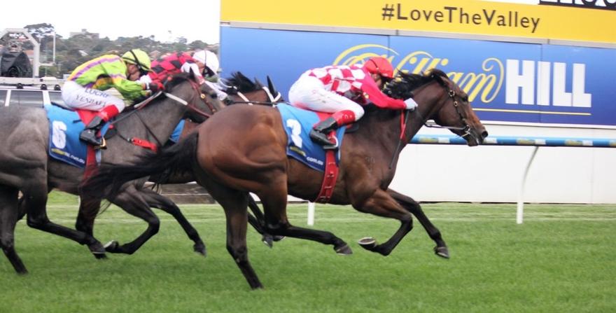 Catchy Moonee Valley 091216.JPG