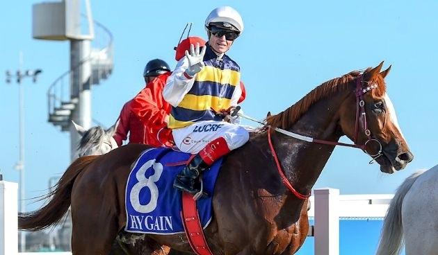 Gallic Chieftain Pakenham 031216.JPG