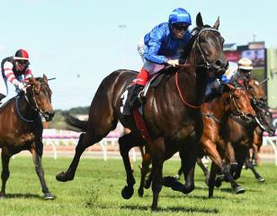 Khaki Flemington 101216.jpg