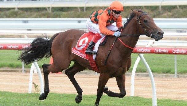 Villa Rosa Mornington 180117.JPG