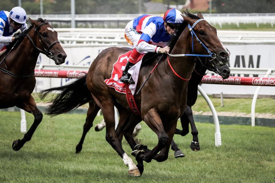 Property2 Caulfield 260117.JPG