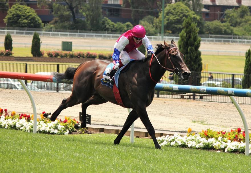 Gratwick MV 210117.JPG