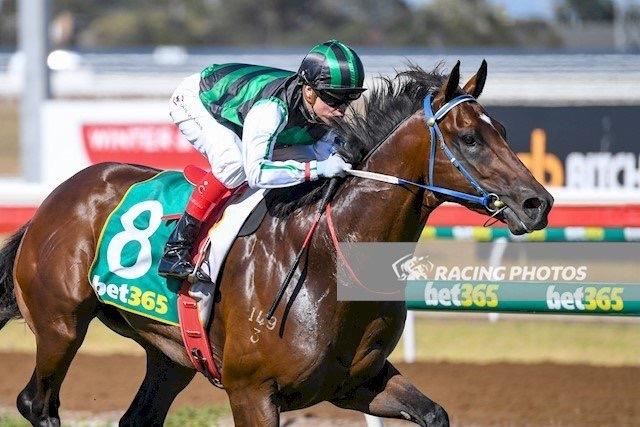 Hard Promise Geelong 170117.JPG