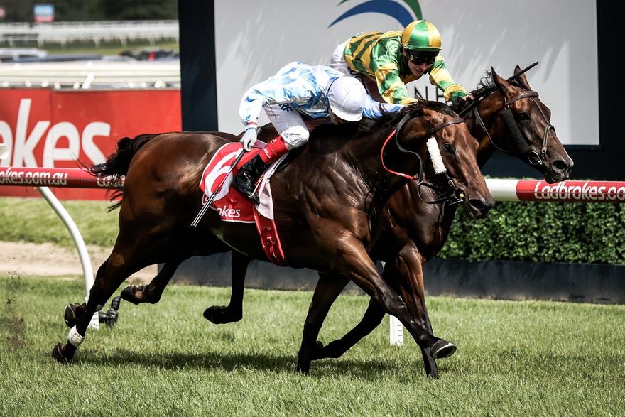 Dodging Bullets Caulfield 260117.JPG