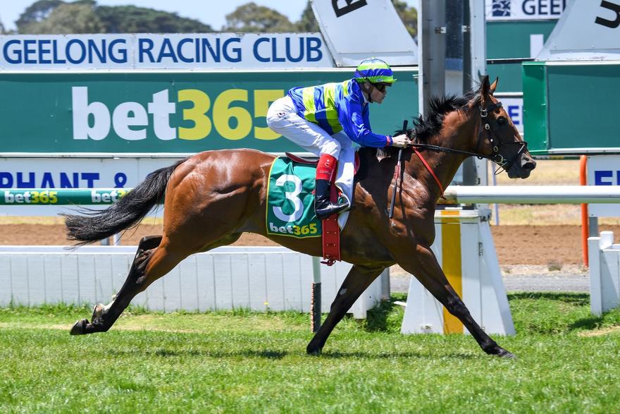 Jukebox Geelong 170117.JPG