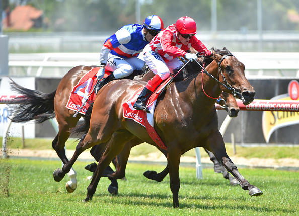 Catchy Caulfield 070117.jpg