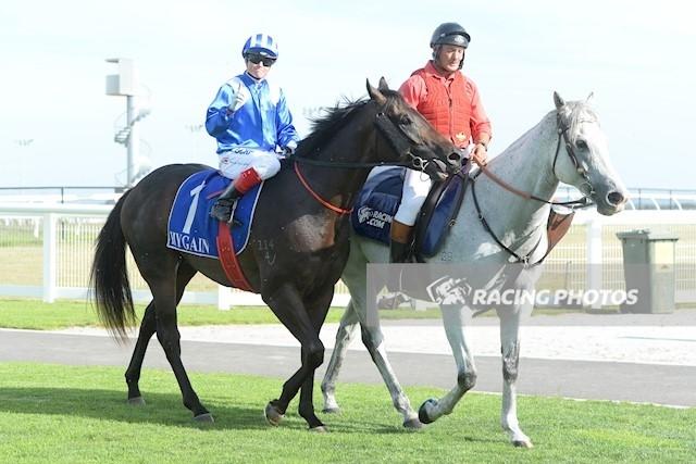 Eshtiraak Mornington 190117.jpg