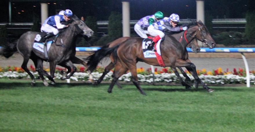 Thespinis MV 270117.jpg