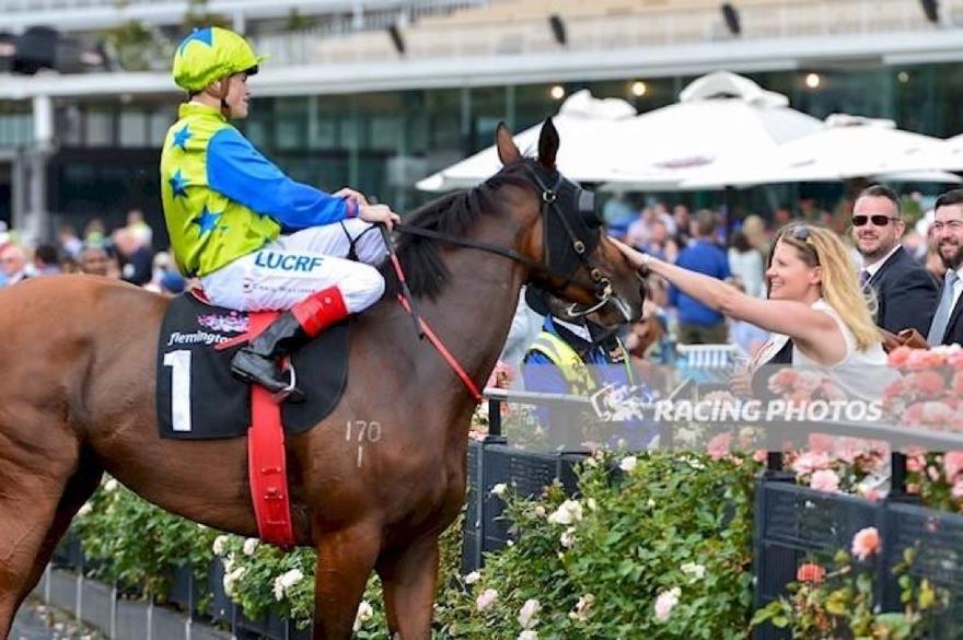 Domino Vitale Flemington 010117.JPG