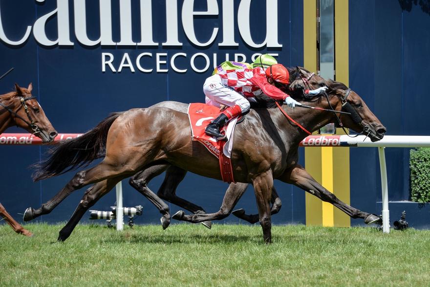 Catchy Caulfield 110217.jpg