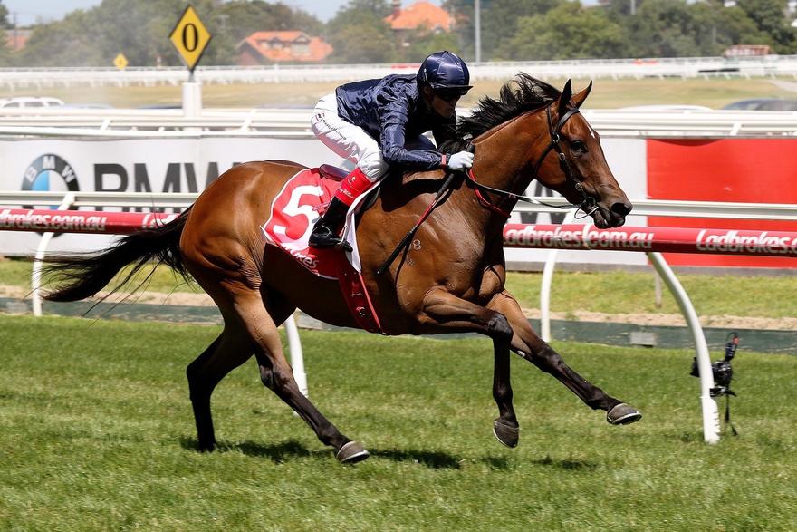 Formality Caulfield 050217.JPG