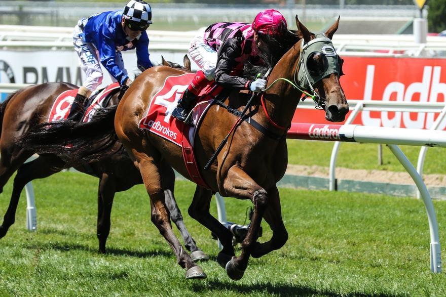 Hot Ruby Caulfield 050217.JPG