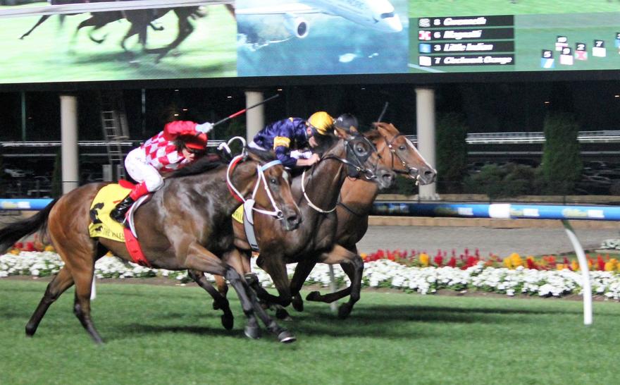 Magnatti MV 030217.JPG