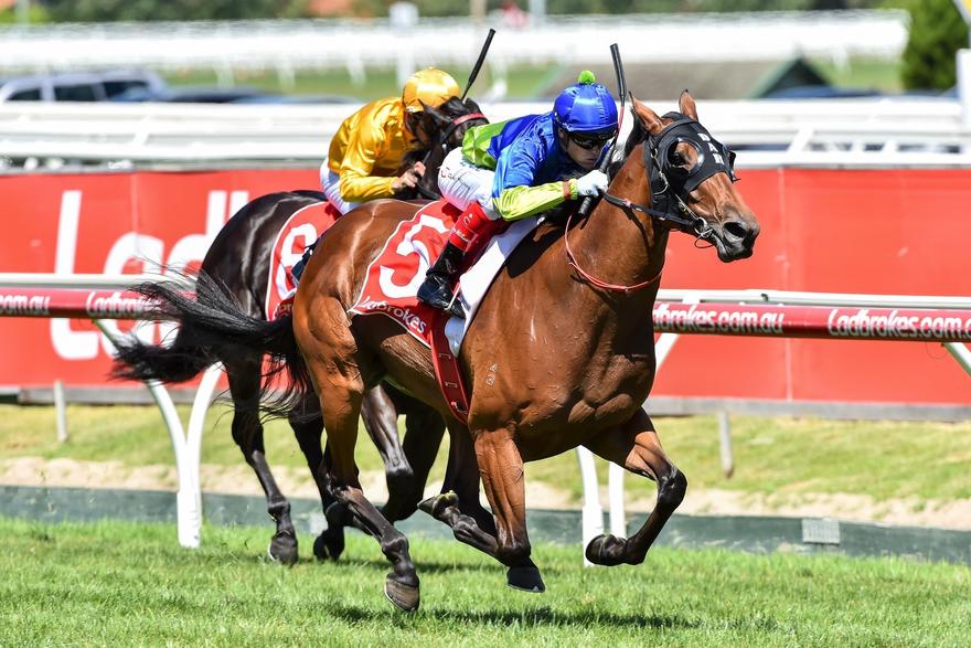 Fuhryk Caulfield 110217.JPG