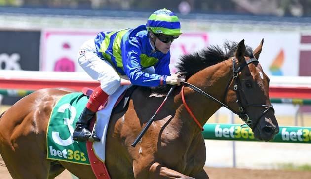 Jukebox2 Geelong 170117.JPG