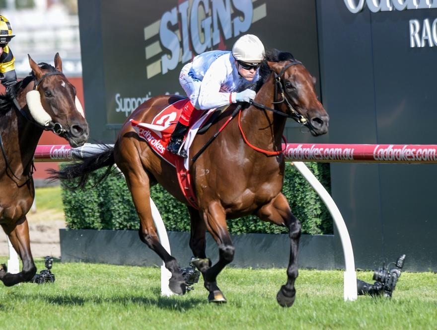 Silent Sedition Mannerism Stakes Gr.3 250217.JPG