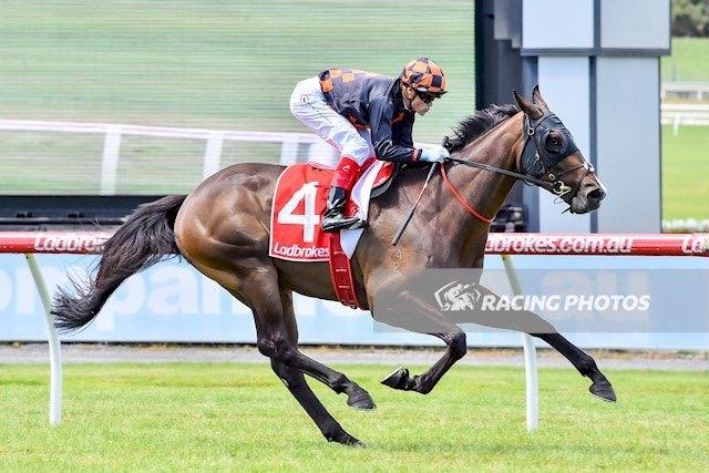 Battlecamp Sandown 150217.JPG