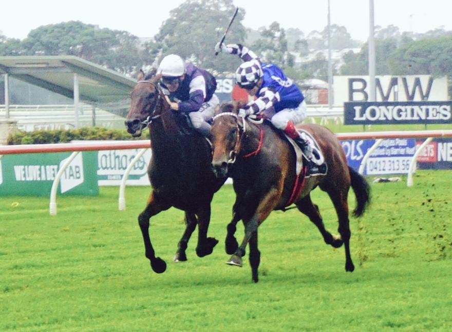 Big Duke Rosehill 180317.JPG