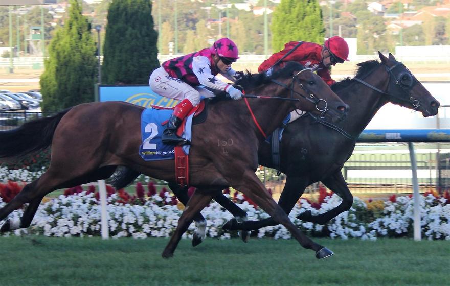 Explosive Witness MV 170317.JPG