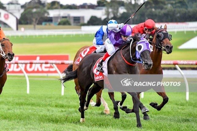 Alaskan Sun_sandown_220317.JPG