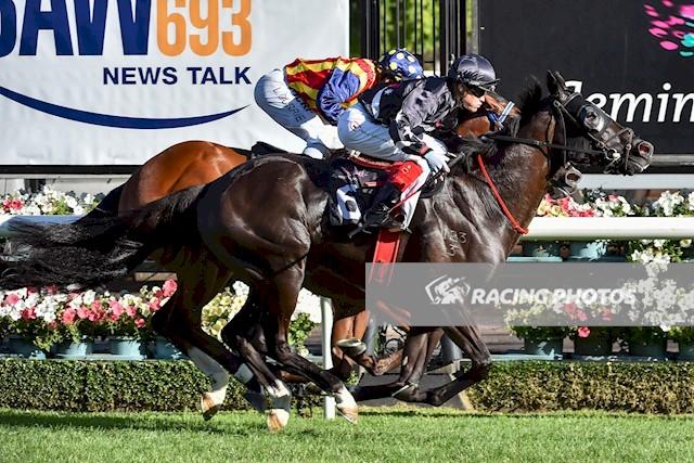 Mr Sneaky Flem 040317.jpg