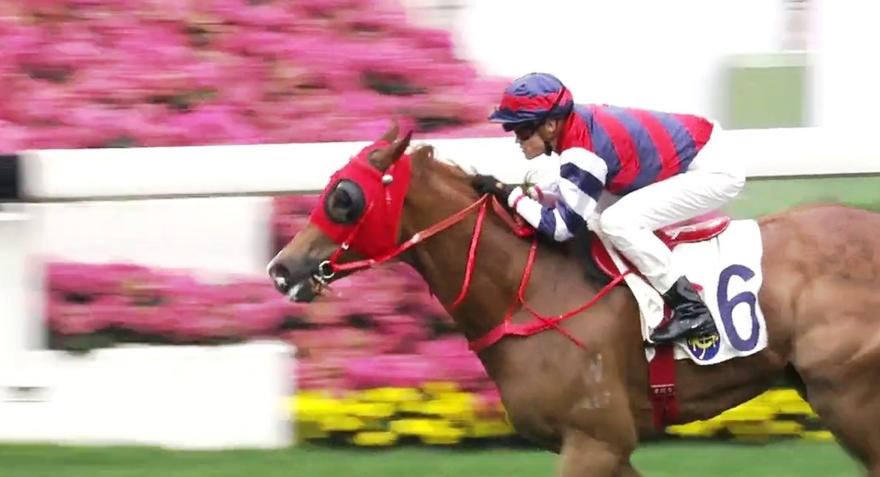 G-One Lover Sha Tin 190317.JPG