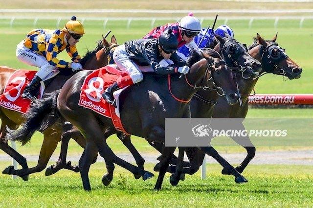 Good Oh Sandown 010317.JPG