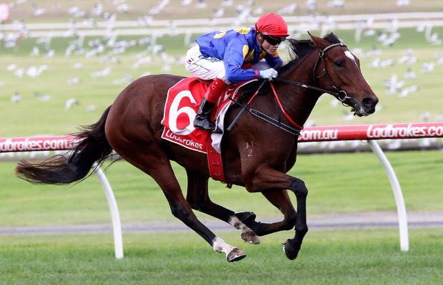 Lopatega Sandown 170417.JPG