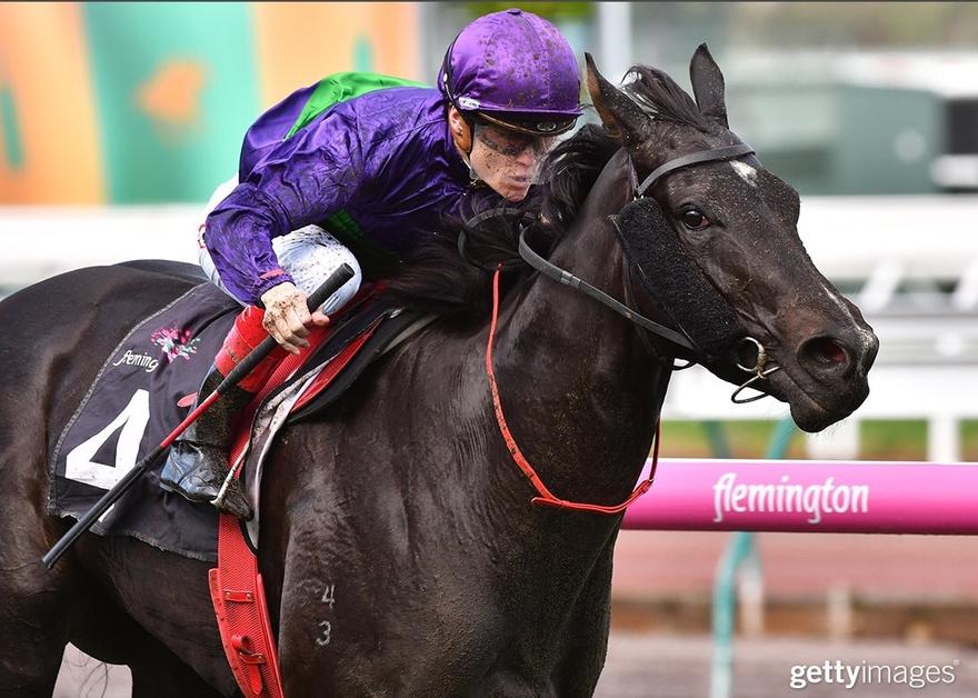 Petition Flemington 250417.JPG