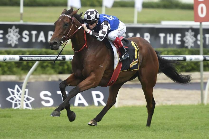 Big Duke Randwick Chairman's Handicap 010417_1.JPG