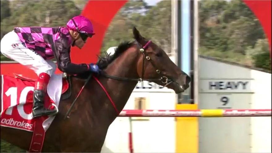 Willi Willi Sandown 260417.JPG