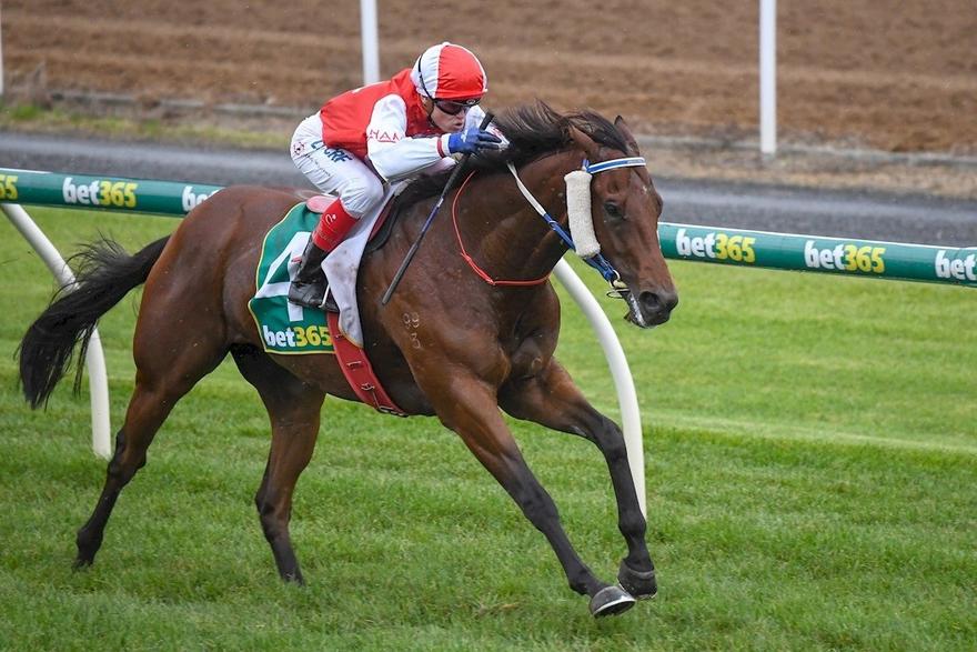 Kotinos Geelong 200517.JPG