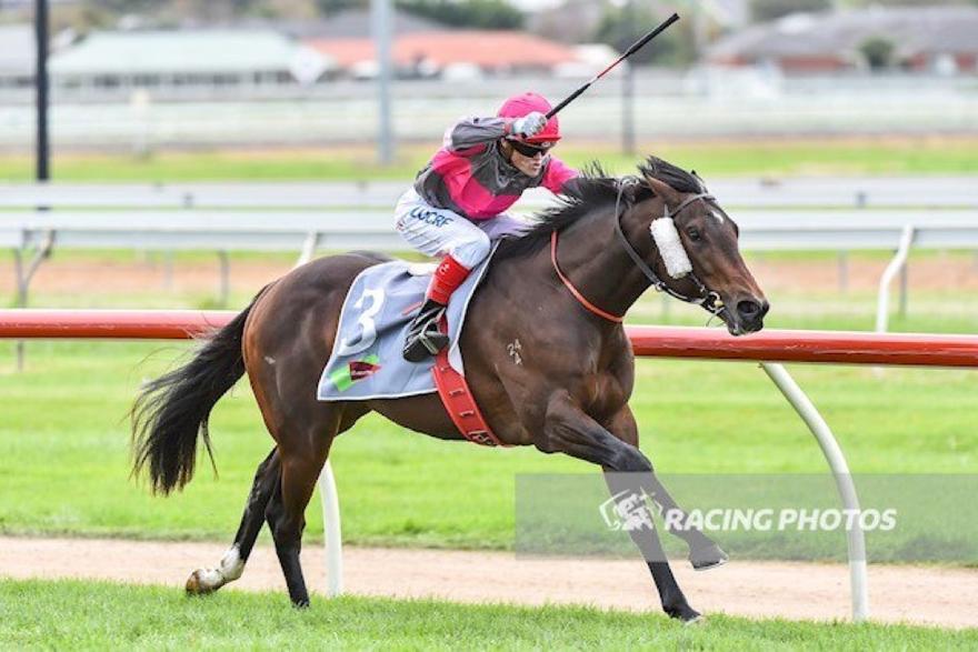 Hecta Warrnambool 040517.JPG