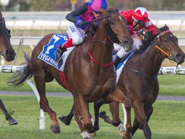 Vega Magic Morphettville 200517.JPG