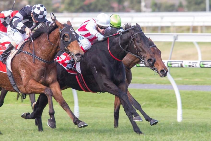 Exocet Morphettville 200517.JPG