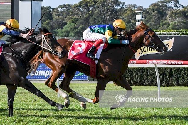 Lord Tennyson Sandown 140617.JPG